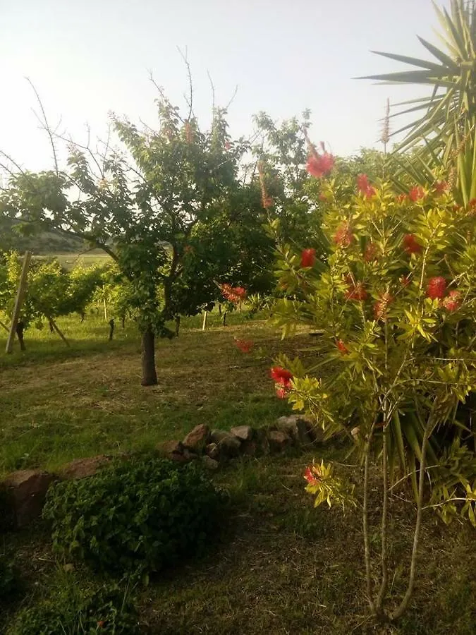 Apartamento Residenza agrituristica Santa Lucia con piscina Alguer
